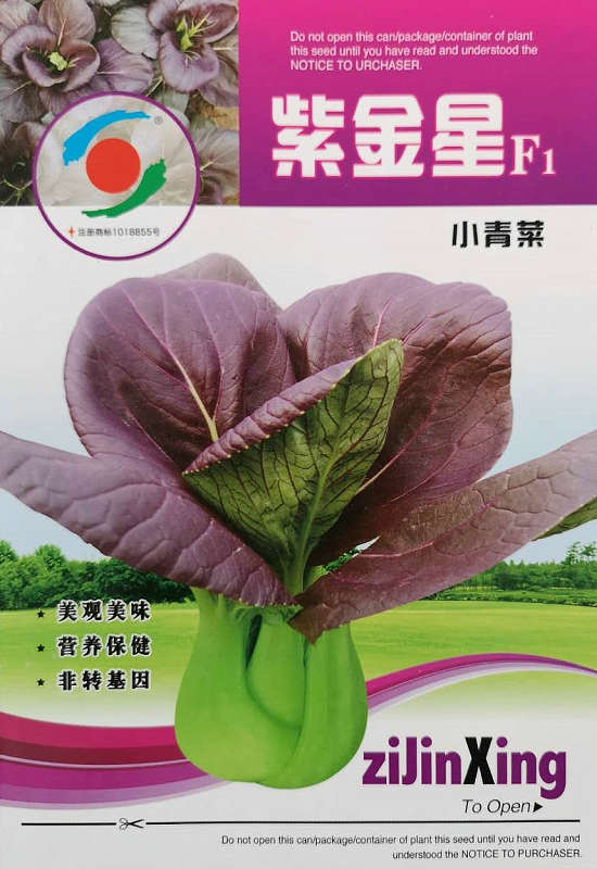 Zijinxing——Purplish Red Healthy Vegetable